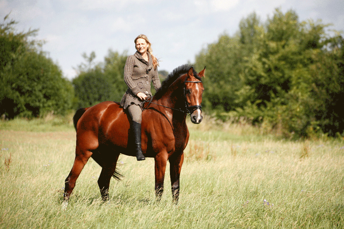 Das Bild zeigt Dagmar Pössnicker auf ihrem Pferd.