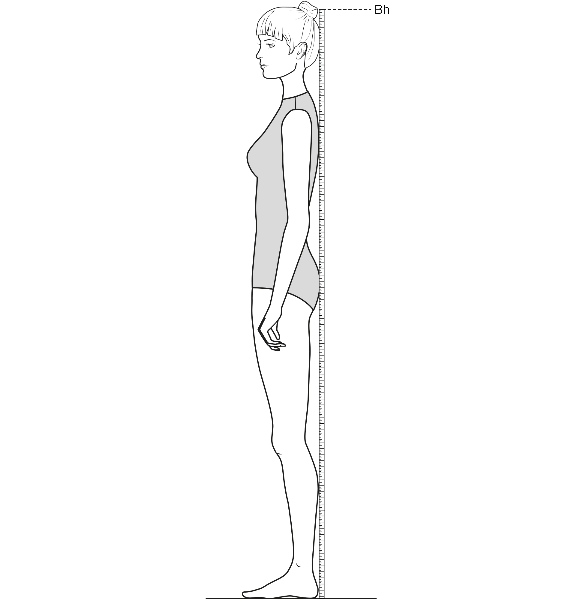 This figure shows the measurement of the Body Height