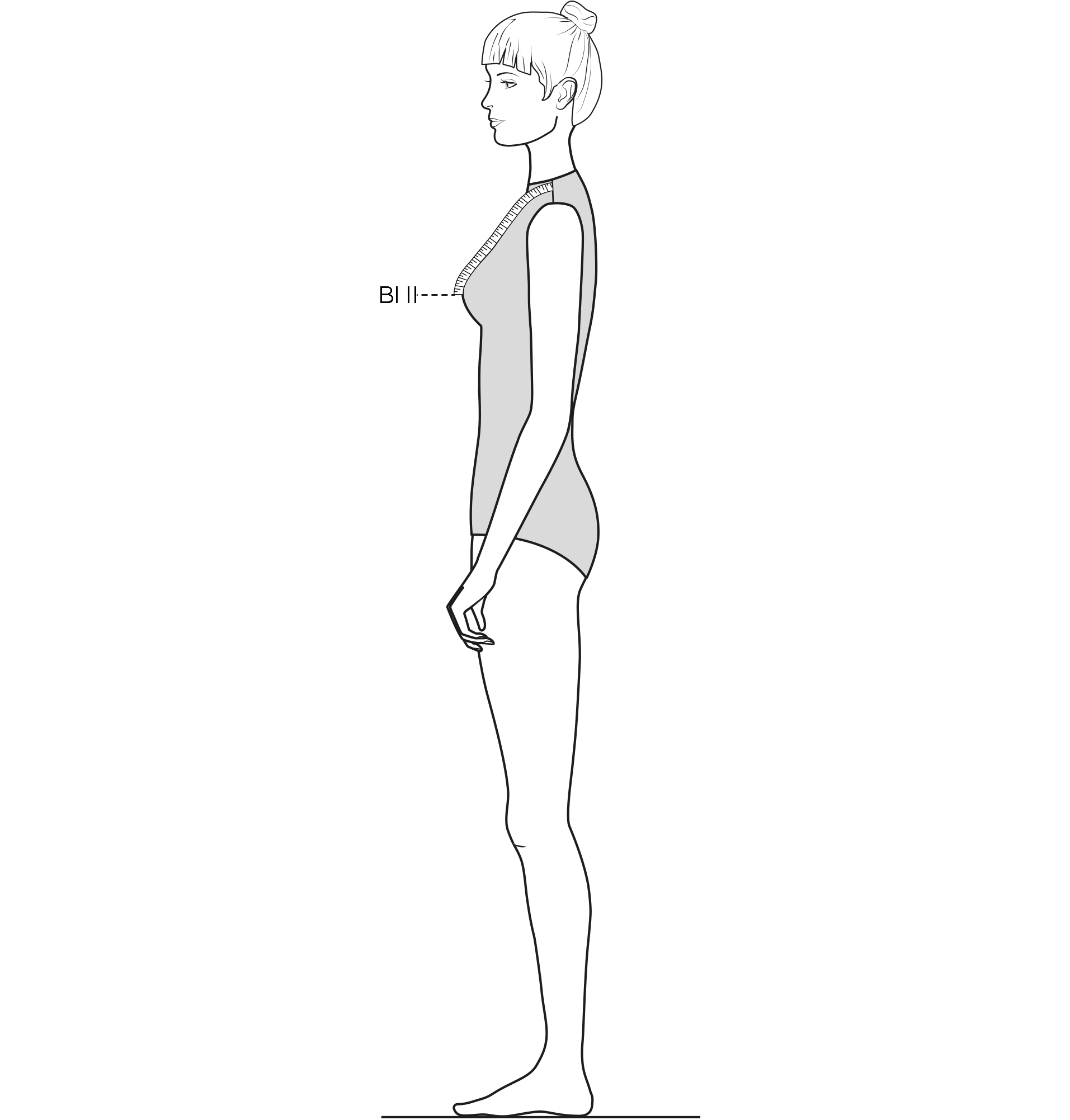 This figure shows the measurement of the Bust length